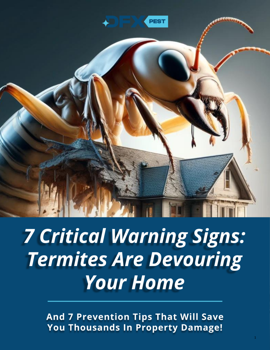 7 Critical Warning Signs Termites Are Devouring Your Home - DFX ...