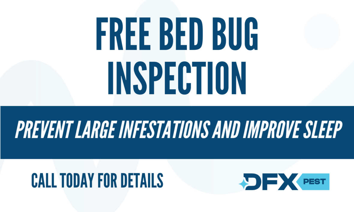 Bed Bug Inspection Coupon