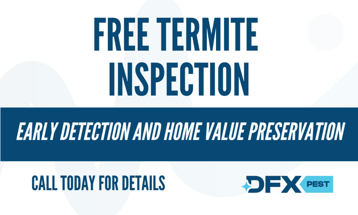 Free Termite Inspection Coupon