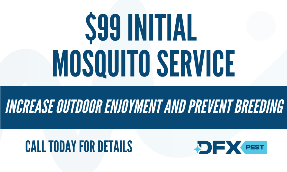 Mosquito Coupon