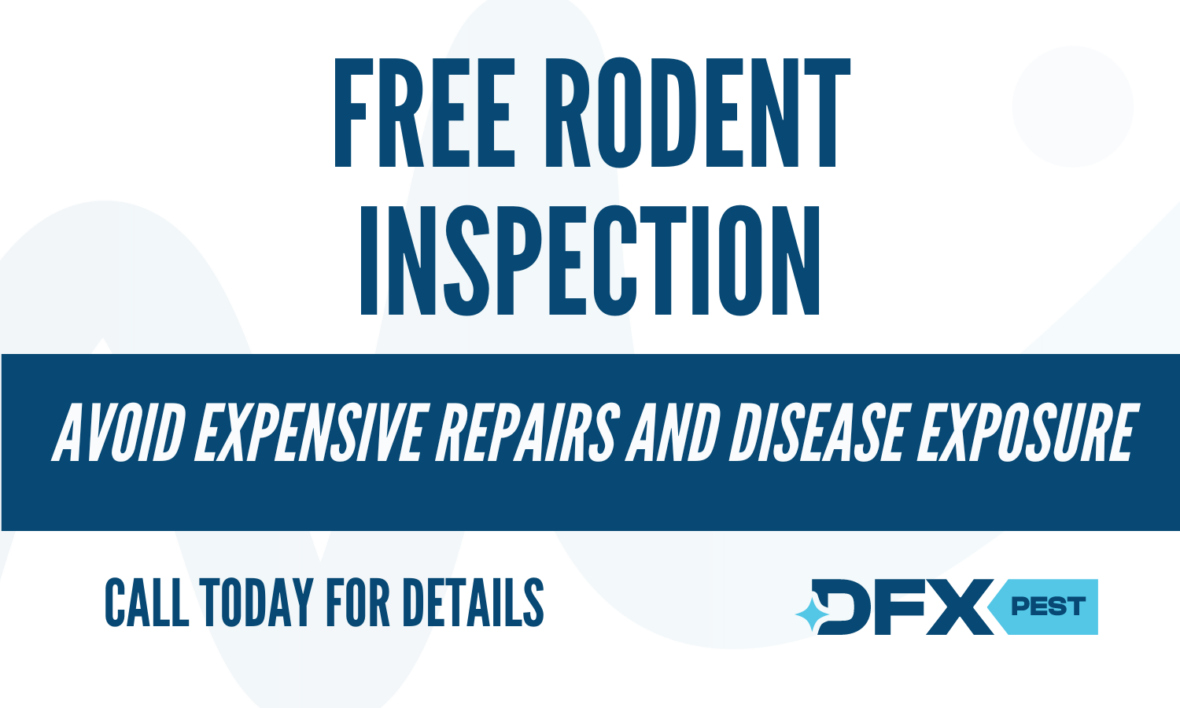Rodent Inspection Coupon