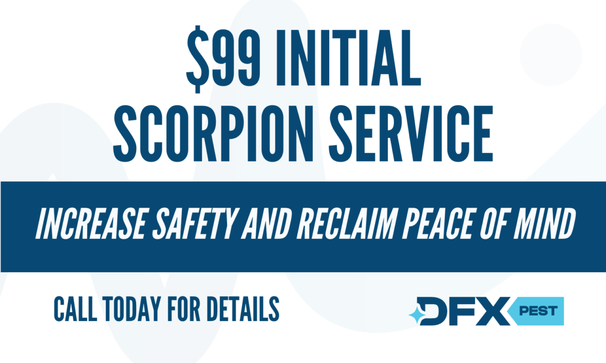 Scorpions Service Coupon