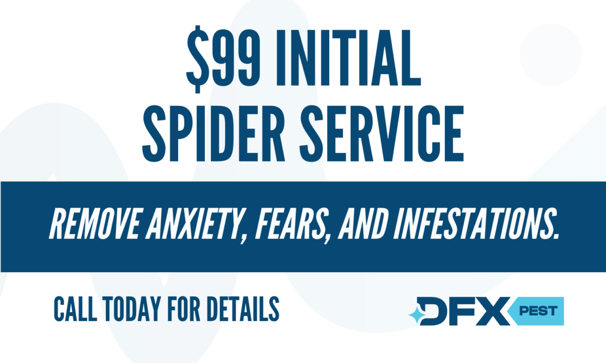 Spiders Service Coupon