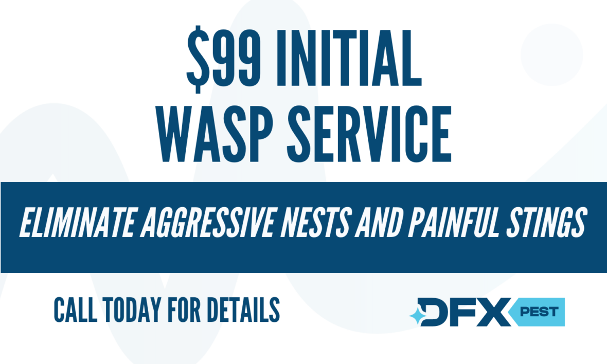 wasp service coupon